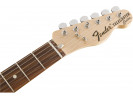 Fender Classic Series '72 Telecaster® Custom PF 3TS* 