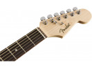 Fender Legacy  Stratacoustic™ WN BLK 