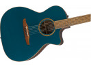 Fender Legacy  Newporter Classic PF CST  