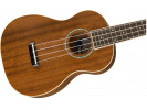 Fender Zuma Concert Ukulele WN Natural 