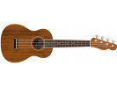 Fender Zuma Concert Ukulele WN Natural 