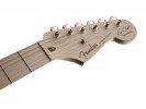Fender Eric Clapton Stratocaster MN BLK 