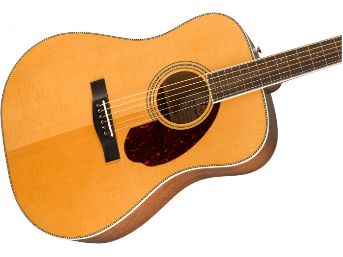 Fender store pm1 standard