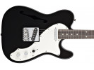 RASPRODAJA - gitare SQUIER Vintage Modified Telecaster Thinline RW BLK 