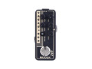 MOOER US GOLD 100