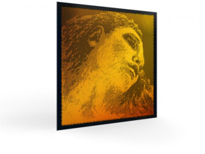 Pirastro EVAH PIRAZZI GOLD Violin String E Wire 