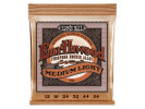 Ernie Ball P02146 EARTHWOOD MEDIUM LIGHT PHOSPHOR BRONZE  12-54  