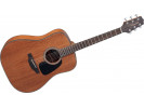 Takamine GD11M NS