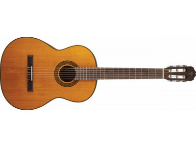 Takamine GC3 NAT 