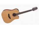 Takamine GD20CE NS 