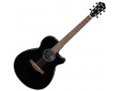 Ibanez AEG50 BK akustična gitara akustična gitara