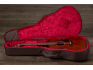 Taylor AD22E SAPELE - MAHOGANY 