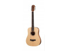 Taylor BT1 WALNUT