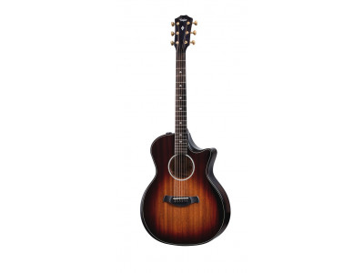 Taylor 324CE Builders Edition 