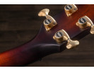 Taylor 324CE Builders Edition 