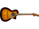 Fender Newporter Player, WN, Sunburst 