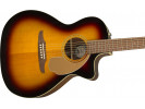 Fender Newporter Player, WN, Sunburst 