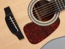 Takamine GD10-NS 