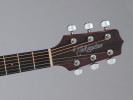 Takamine GD10-NS 