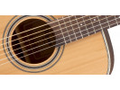 Takamine GD20-NS 