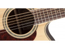 Takamine GD71CE-NAT 