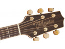 Takamine GD71CE-NAT 