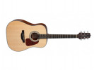 Takamine GD10-NS  