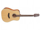 Takamine GD20-NS  