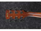 Ibanez PF10CE-OPN Open Pore Natural  