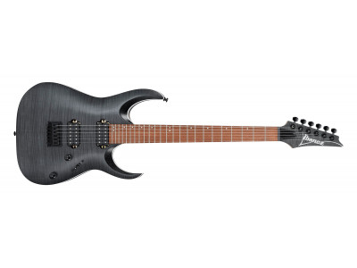 Ibanez RGA42FM-TGF Transparent Gray Flat  