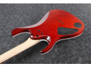 Ibanez RGA42FM-TGF Transparent Gray Flat  