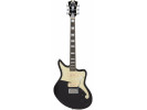 D’Angelico PREMIER BEDFORD BLACK FLAKE  