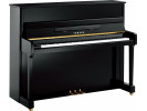 Yamaha P116 M Polished Ebony   