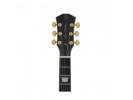 Sire  Larry Carlton L7 Black  