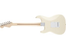 Fender Eric Clapton Stratocaster MN Olympic White 