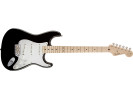 Fender Eric Clapton Stratocaster MN Black  