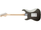 Fender Eric Clapton Stratocaster MN Pewter  