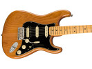 Fender American Professional II Stratocaster HSS MN Roasted Pine   
