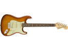 Fender American Performer Stratocaster RW Honey Burst 