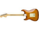 Fender American Performer Stratocaster RW Honey Burst 