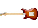 Fender  Player Stratocaster Plus Top MN Aged Cherry Burst 