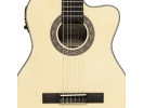 Crafter HC100 CE N 