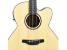 Crafter HJ100 CE N 