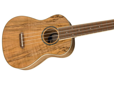 Fender Zuma Exotic Concert Ukulele WN Natural Spalted Maple 