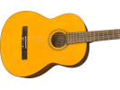 Fender ESC-105 Classical WN 
