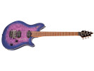 EVH  Wolfgang WG Standard QM Northern Lights 