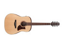 Ibanez AAD100E-OPN Open Pore Natural  