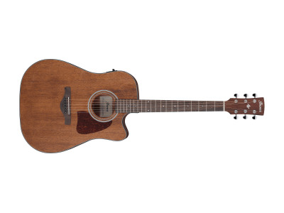 Ibanez AW54CE-OPN Open Pore Natural  
