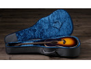 Taylor AD17e-SB  