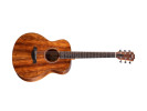 Taylor Mini e-Koa  